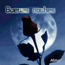 Buenas Noches Rosas Roses GIF - Buenas Noches Rosas Roses Flowers GIFs