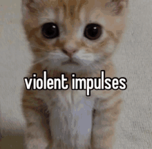 Violent Impulses GIF - Violent Impulses GIFs