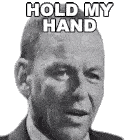 Hold My Hand Frank Sinatra Sticker