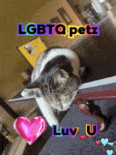 a picture of a cat with the words lgbtq petz written above it