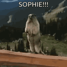 Sophie Gopher GIF - Sophie Gopher Shout GIFs