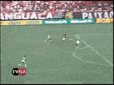 a soccer field with advertisements for gatorade and sadia
