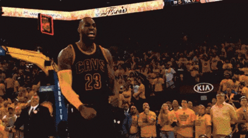 Lebron James Basketball GIF by NBA - Find & Share on GIPHY