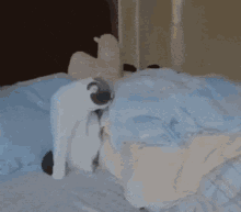 Stretch Out Funny GIF - Stretch Out Funny Cat GIFs