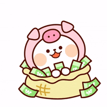 cute bear animal teddy money