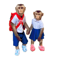 a couple of monkeys standing next to a sign that says happy valentine 's day