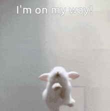 a white rabbit is jumping in the air with the words " i 'm on my way " behind it