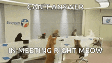 Cats Cute GIF - Cats Cute Conference GIFs