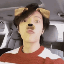 filter dog cute donghae lee donghae