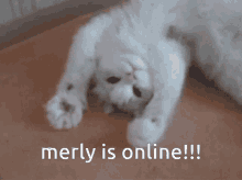 Merly Hi Merly GIF - Merly Hi Merly Merly Is Online GIFs