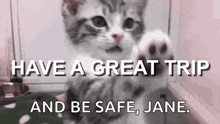 Have A Great Trip Bye Kitten GIF - Have A Great Trip Bye Kitten Good Bye GIFs