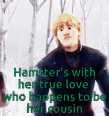Frozen Hamster GIF - Frozen Hamster True Love GIFs
