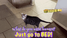 a cat walking on a tiled floor with the words " what do you want human just go to bed " below it