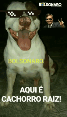 Bolsonaro Dog GIF - Bolsonaro Dog Aqui E Cachorro Raiz GIFs