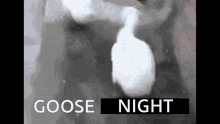 Goose Night GIF - Goose Night GIFs