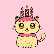 Birthday Cat Happy Birthday GIF