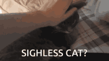 Sighless Cat GIF - Sighless Cat Outsize GIFs