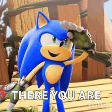 There You Are Sonic The Hedgehog GIF - There You Are Sonic The Hedgehog Sonic Prime GIFs