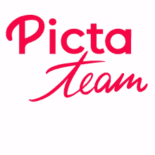picta pictarine picta team red brand