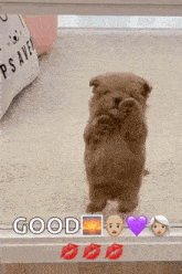 Dog Puppy GIF - Dog Puppy Cute Puppy GIFs
