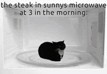 a picture of a cat in a microwave with a caption that says the steak in sunnys microwave at 3 in the morning