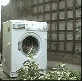 Brick in a dryer