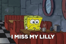 Spongebob Lilly GIF - Spongebob Lilly Miss GIFs