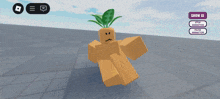 a screenshot of a video game where a character has a plant on his head