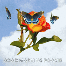 Good Morning Pookie Love GIF