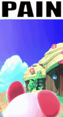 a pixelated image of kirby with the word pain in the upper left corner