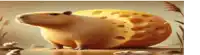 a capybara is standing next to a giant piece of cheese .