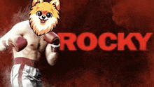 Rocky Rockymemes GIF - Rocky Rockymemes Crypto GIFs