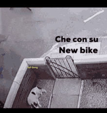 Bike Fail GIF