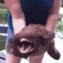 a woman is holding a brown dog with its mouth open and teeth showing .