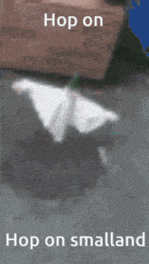 Smalland Whimsical GIF