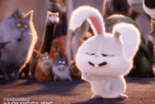 Snowball Bunny GIF - Snowball Bunny Faint GIFs