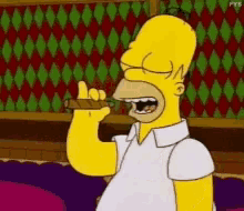 Homer Simpson The Simpsons GIF - Homer Simpson The Simpsons Too Much Money GIFs
