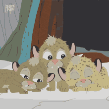 Grieving Mountain Lion Cubs GIF