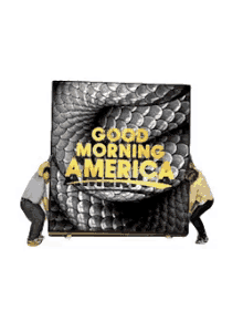good morning america billboard snakes contemporary art graphic design