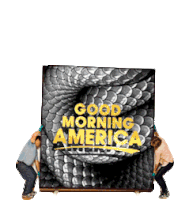 Good Morning America Billboard Sticker - Good Morning America Billboard Snakes Stickers
