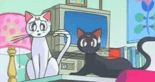 唉。。 GIF - Sailormoon Cats Sigh GIFs