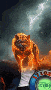 a picture of a tiger with the number 710 on the bottom right