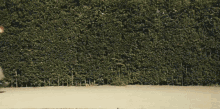 Orla Gartland Zombie GIF - Orla Gartland Zombie Running GIFs