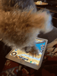 gamer dog play cute tablet