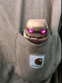 a carhartt t-shirt with a robot in it 's pocket
