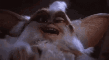 Gremlin Laughing GIF - Gremlin Laughing Lmao GIFs