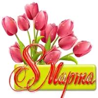 a bunch of pink tulips are sitting on top of a yellow sign that says " 8 "