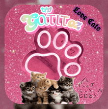 Cattalove GIF - Cattalove GIFs