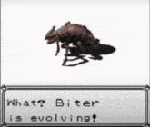 a video game screen shows a bug that says what biter is evolving