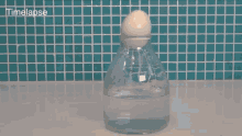 Science Yumurta GIF - Science Yumurta Egg GIFs